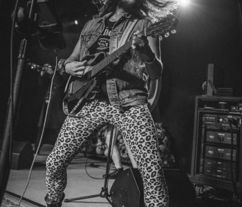 Metalachi-11