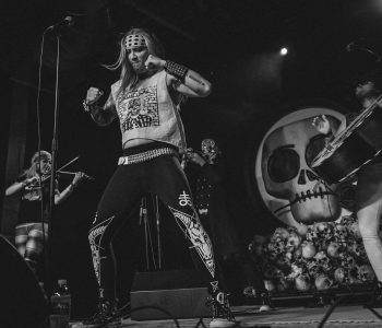Metalachi-15