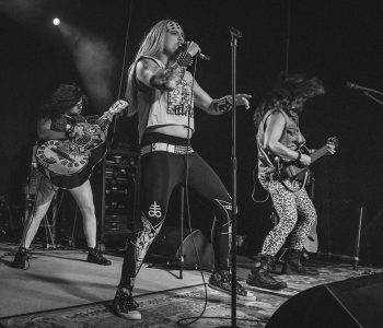 Metalachi-5
