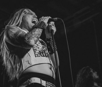 Metalachi-18