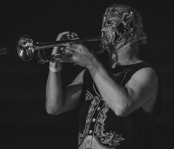 Metalachi-25