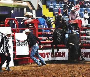 PBR-1