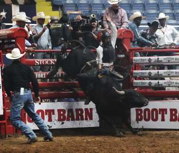 PBR-10