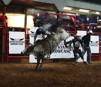 PBR-12