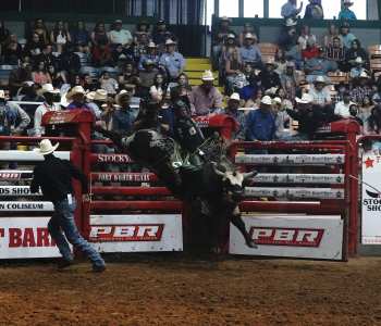PBR-13