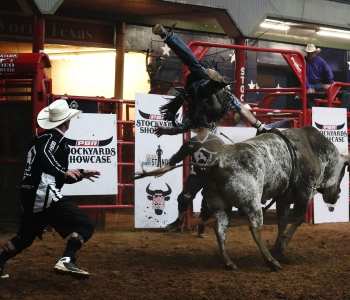 PBR-15