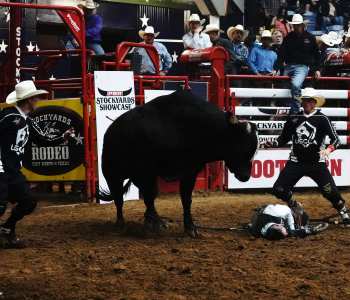PBR-16