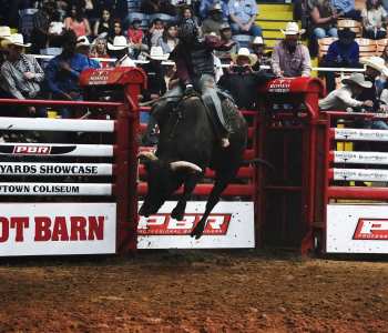 PBR-18