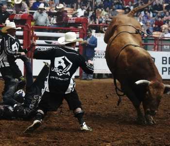 PBR-19