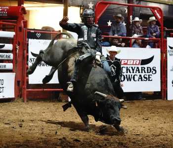 PBR-25