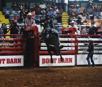 PBR-26