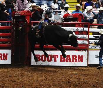 PBR-28