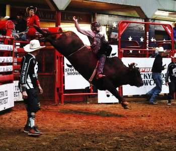 PBR-29