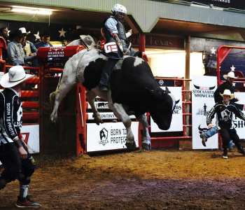 PBR-30