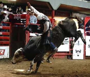 PBR-32