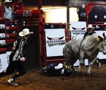PBR-33