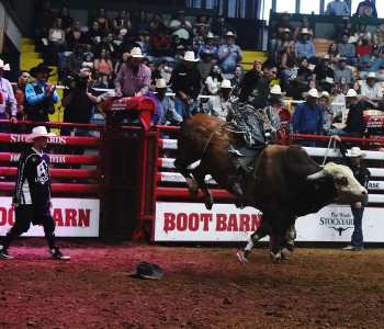 PBR-35