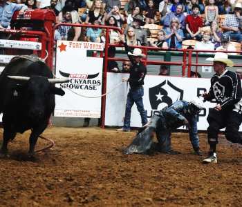 PBR-36
