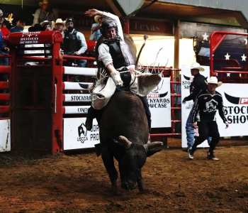 PBR-37