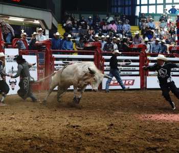 PBR-38