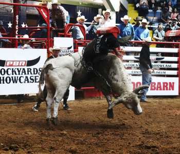 PBR-39