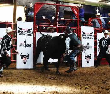 PBR-4