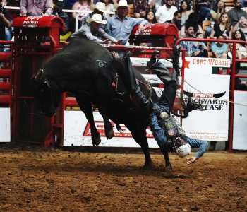 PBR-40