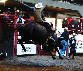 PBR-42