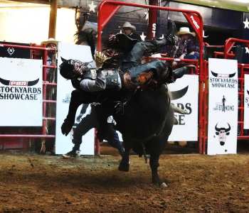 PBR-44