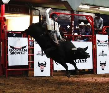 PBR-46