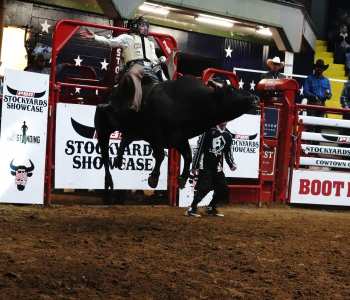 PBR-47