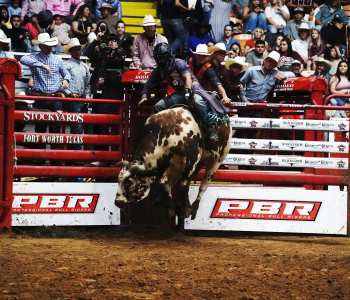 PBR-49