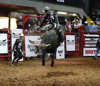 PBR-50