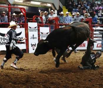 PBR-51