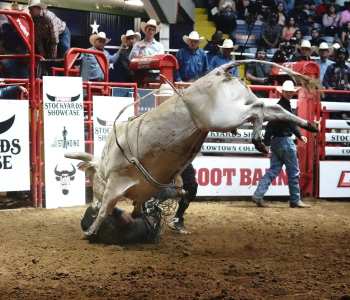 PBR-6