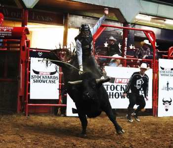 PBR-8