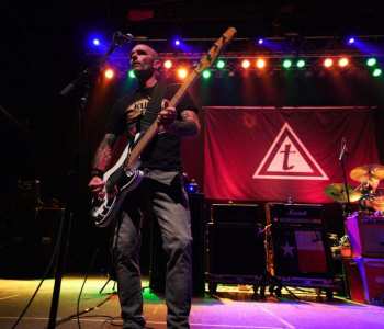 Toadies-12-1-1