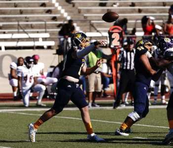 TEXWESHC19-35